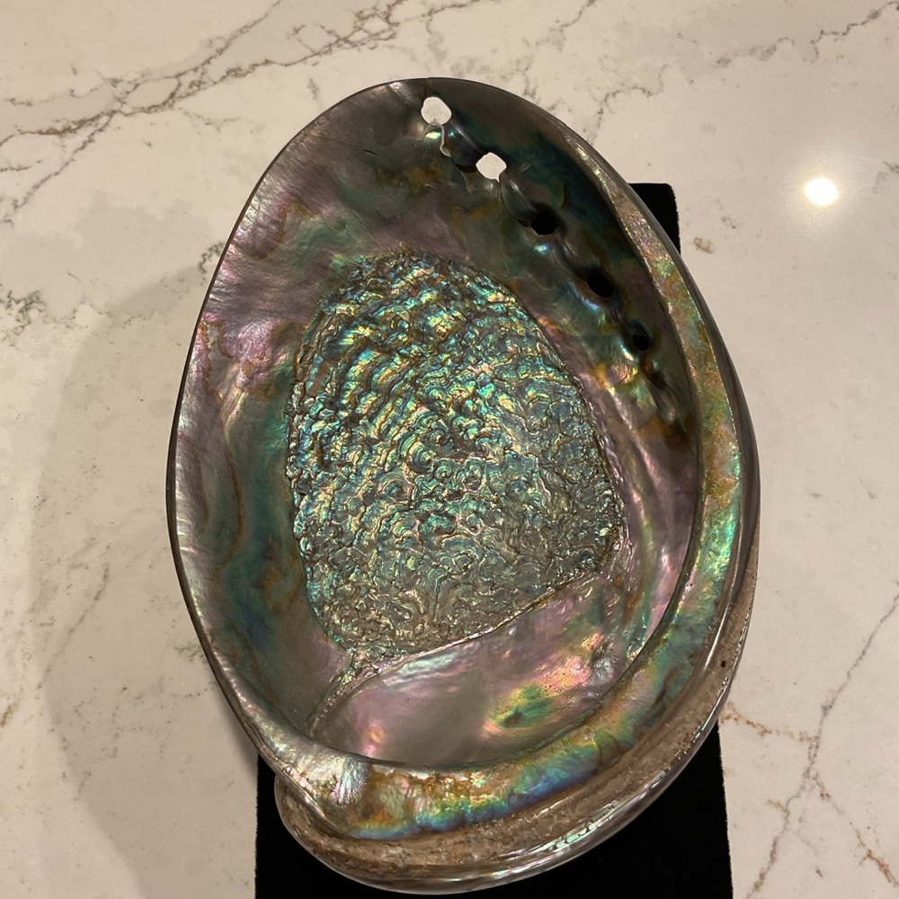 Iridescent Large Abalone Shell
